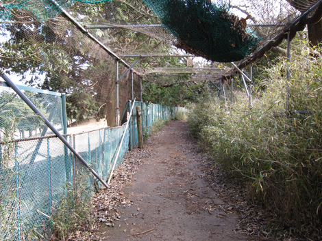 20200122hike (227)